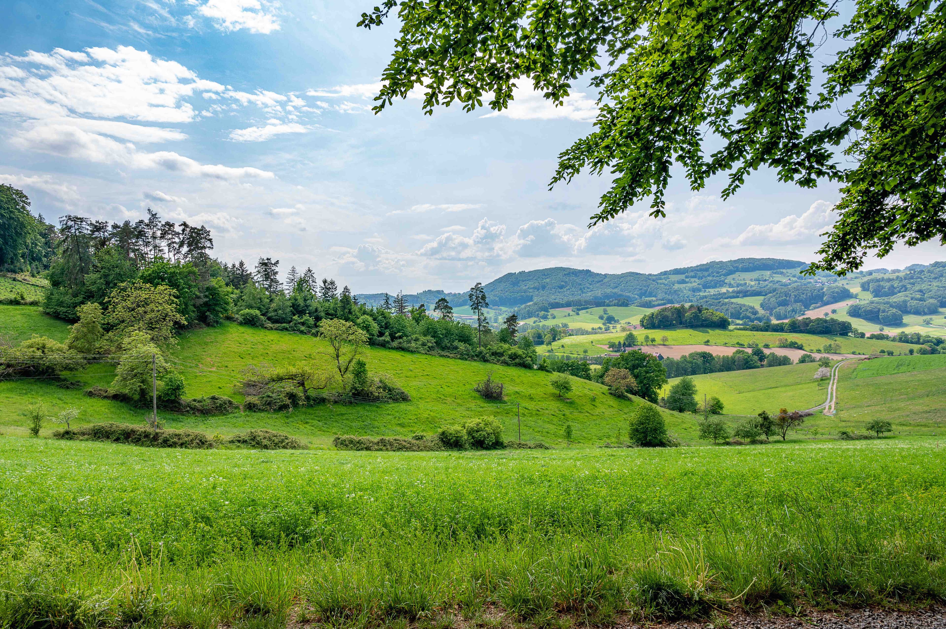 Nature Landscape