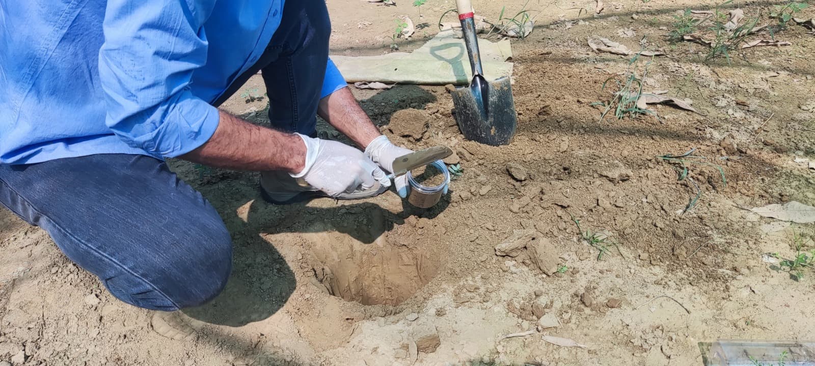 Field technician collecting soil samples for environmental analysis